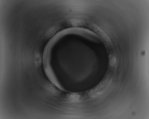 X0000103930471200809261707