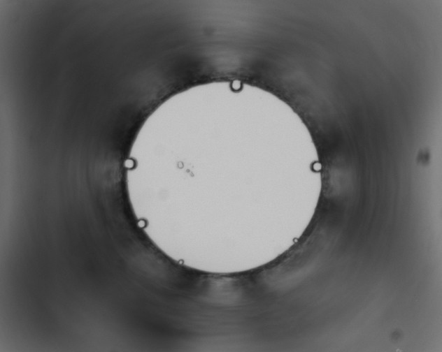 X0000103930472200809261707