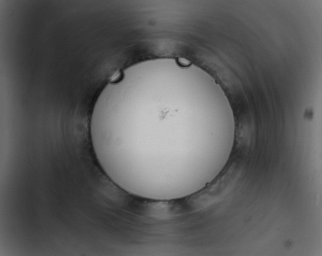 X0000103930473200809261707