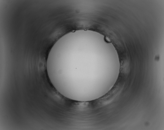 X0000103930474200809261707