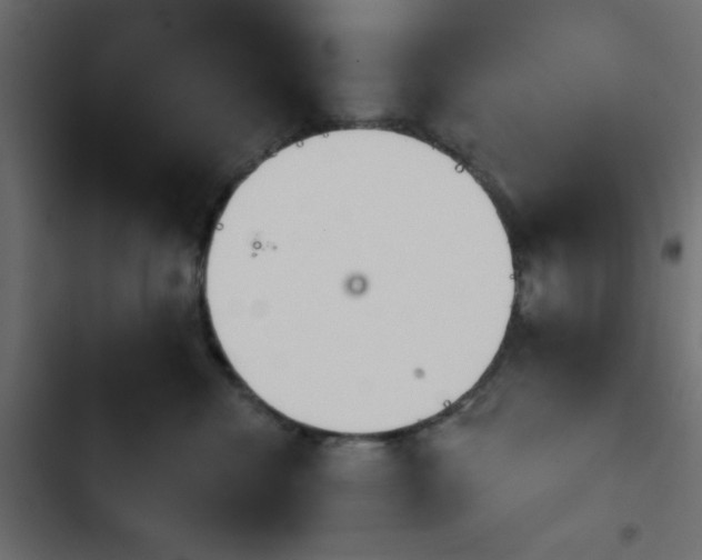 X0000103930476200809261707