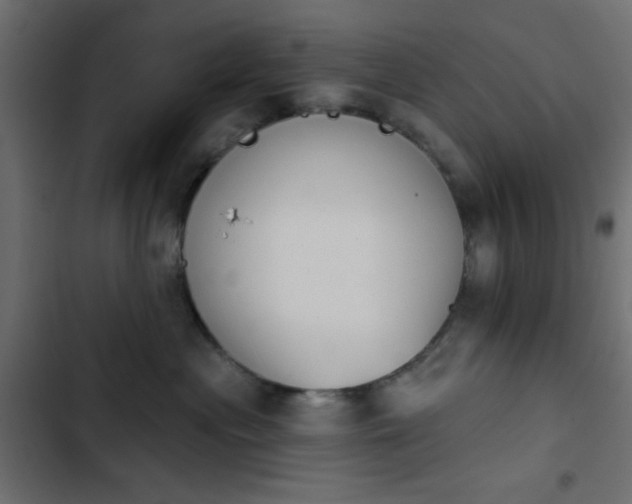 X0000103930477200809261707