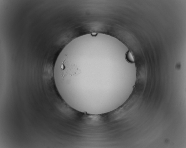 X0000103930478200809261707