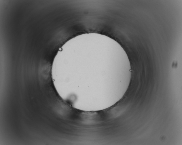 X0000103930480200809261707