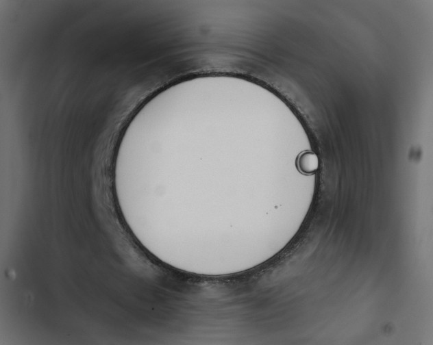 X0000103930481200809261707