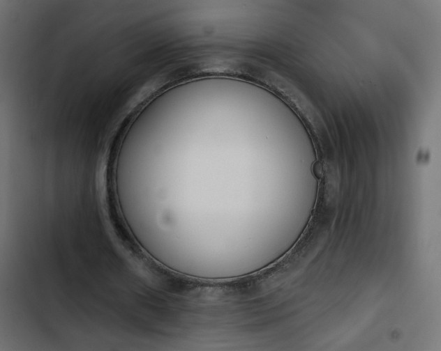 X0000103930482200809261707