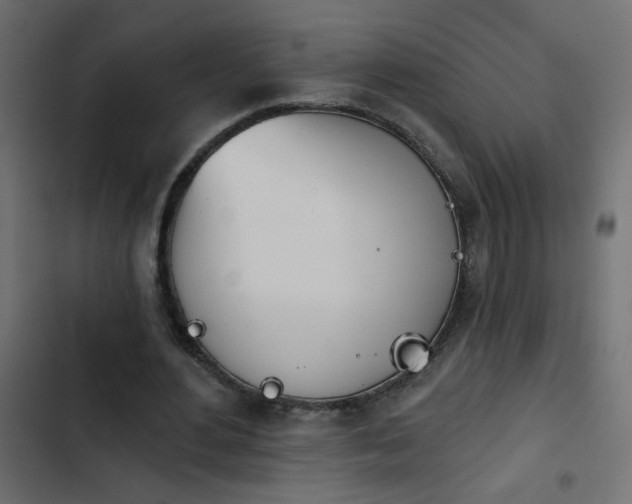 X0000103930484200809261707