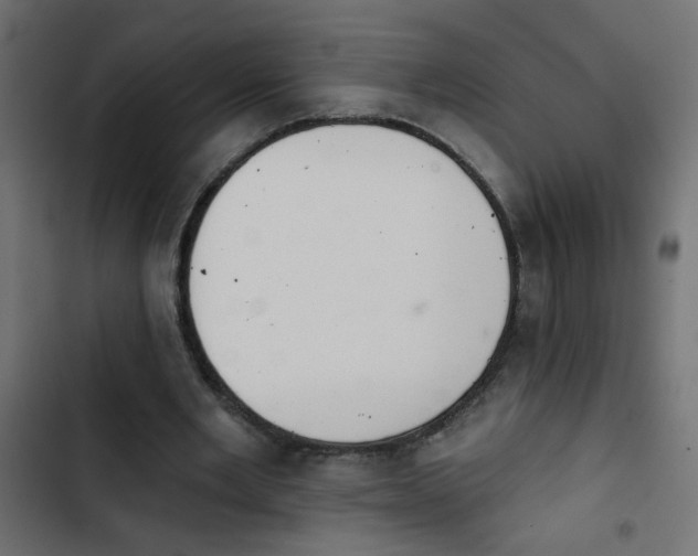 X0000103930485200809261707