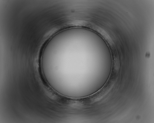 X0000103930486200809261707