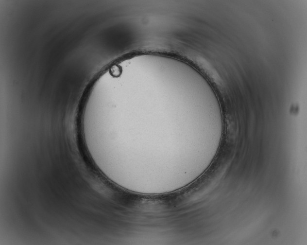 X0000103930487200809261707