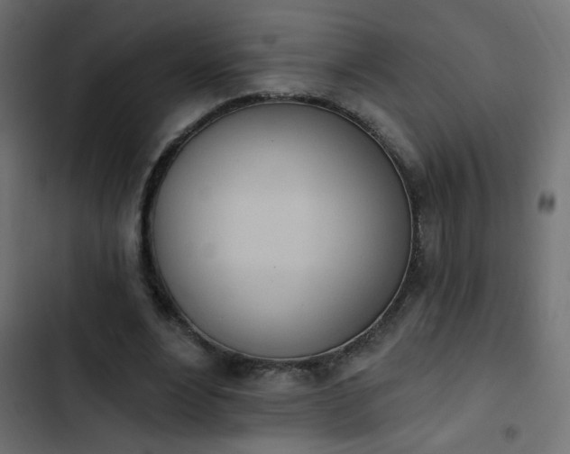 X0000103930488200809261707