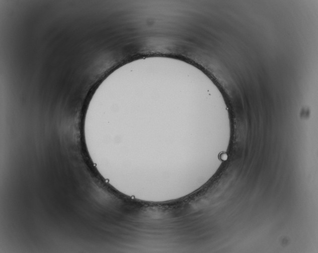 X0000103930489200809261706