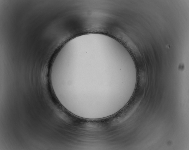 X0000103930490200809261706