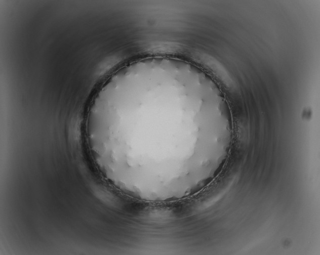 X0000103930491200809261706