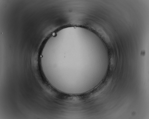 X0000103930492200809261706