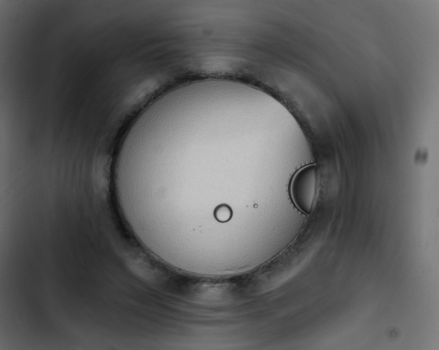 X0000103930495200809261706