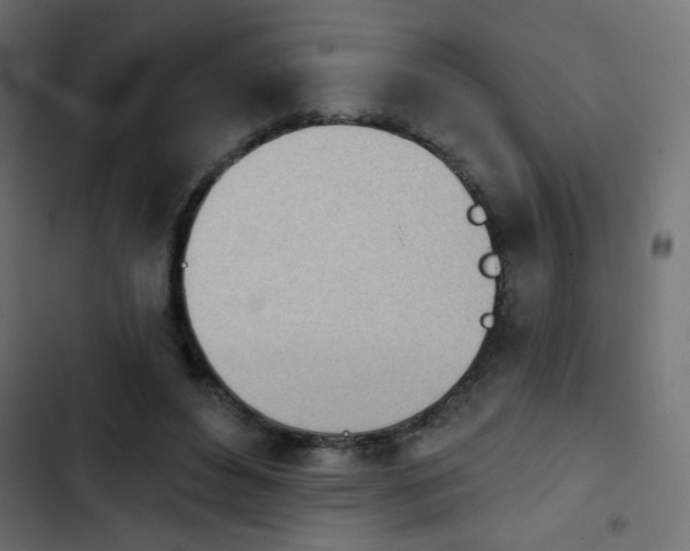 X0000103930496200809261706