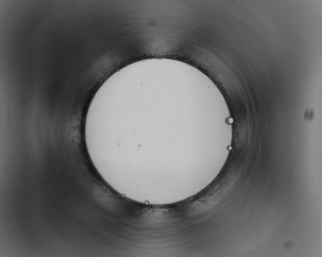 X0000103930497200809261706