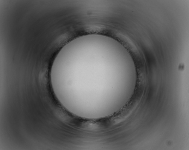 X0000103930498200809261706
