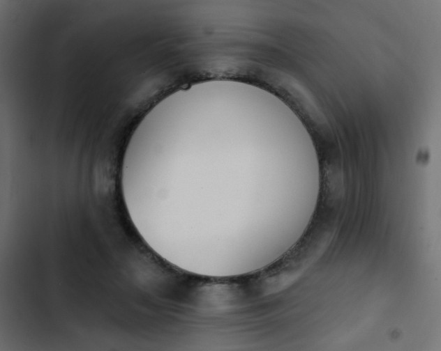 X0000103930499200809261706