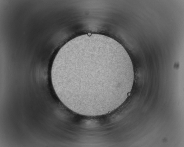 X0000103930500200809261706