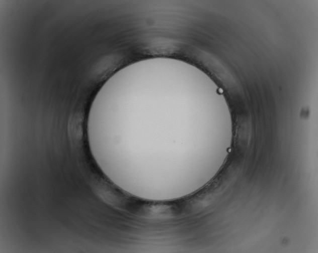 X0000103930501200809261706