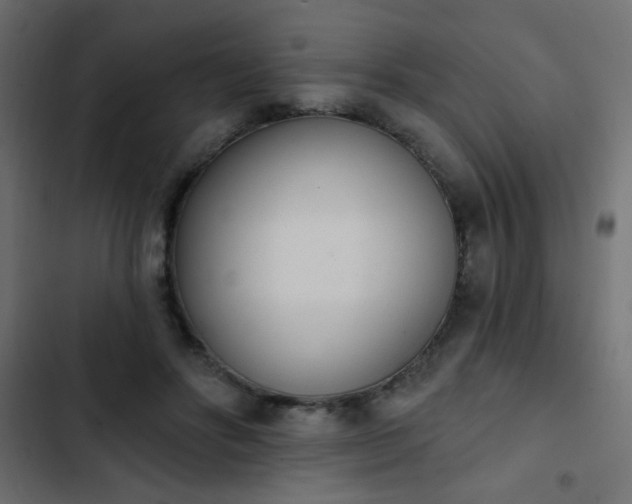 X0000103930502200809261706
