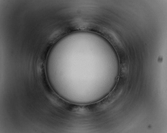 X0000103930503200809261706