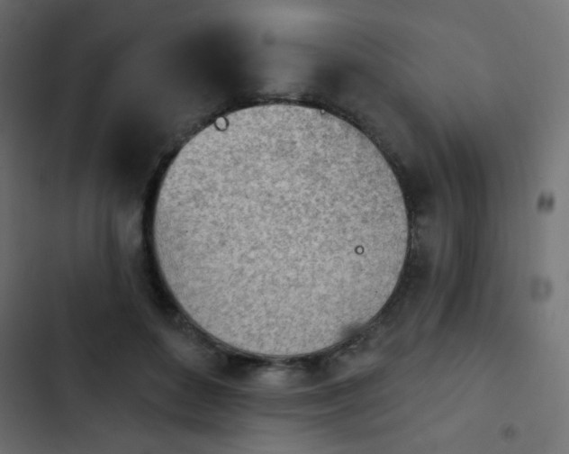 X0000103930504200809261706