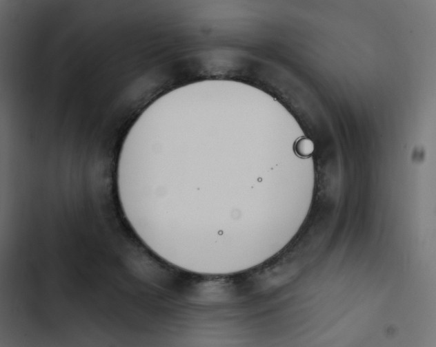 X0000103930505200809261706