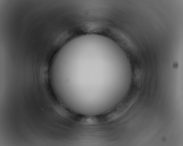 X0000103930506200809261706