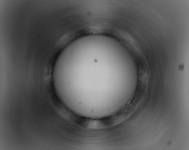 X0000103930507200809261706