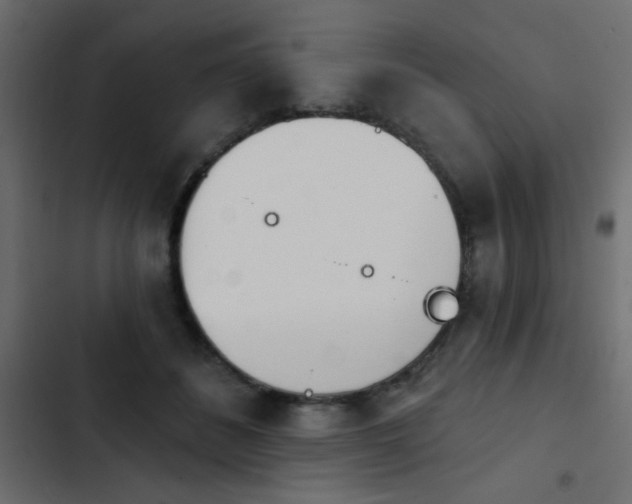 X0000103930508200809261706