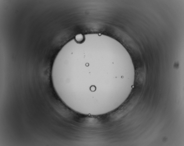 X0000103930509200809261706
