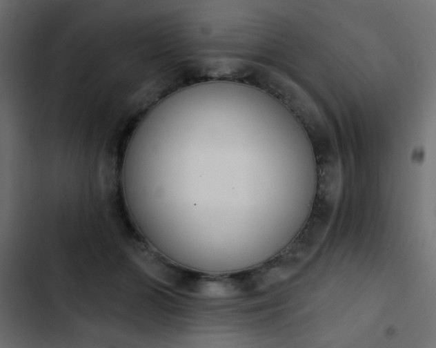 X0000103930510200809261706