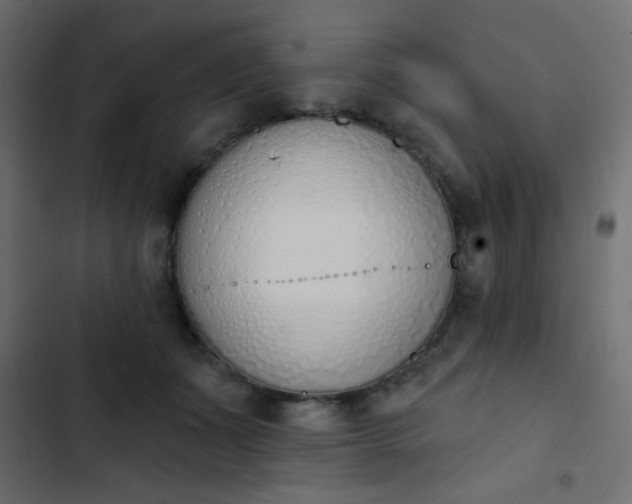 X0000103930511200809261706