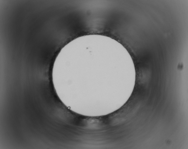 X0000103930512200809261706