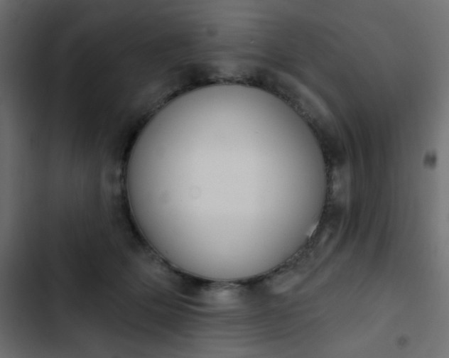 X0000103930514200809261706