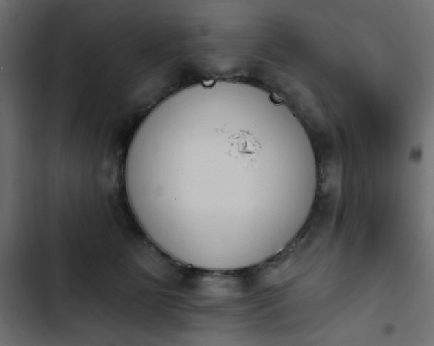 X0000103930515200809261706