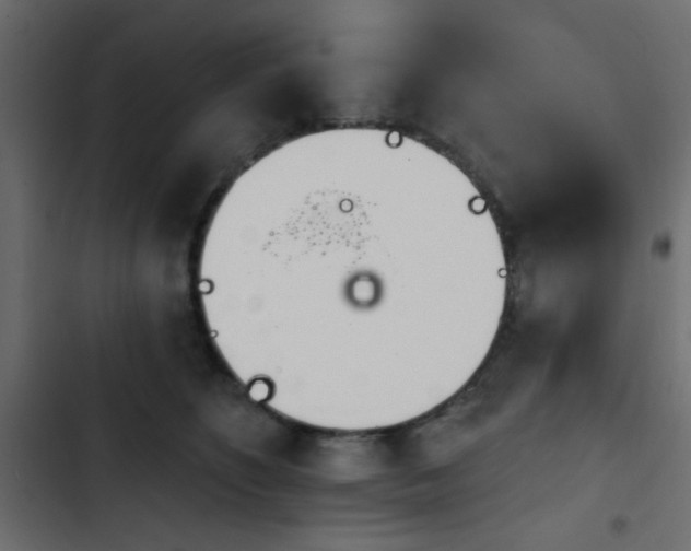 X0000103930516200809261706