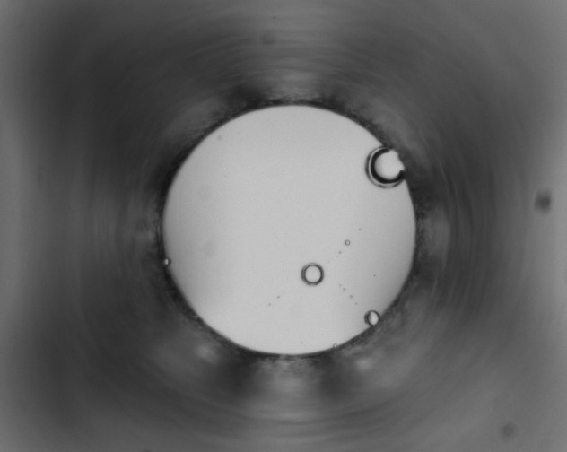 X0000103930517200809261706