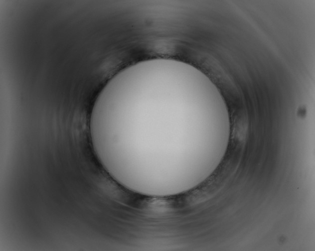 X0000103930518200809261706