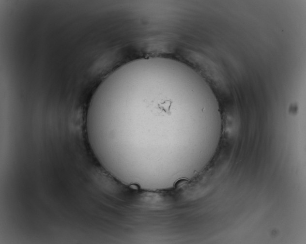 X0000103930519200809261706