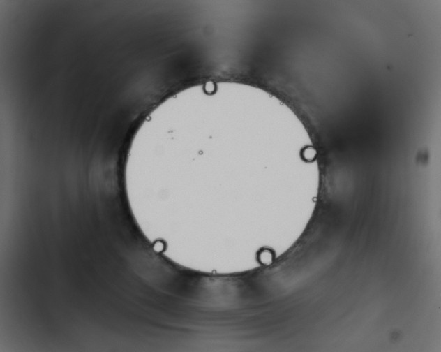 X0000103930520200809261706