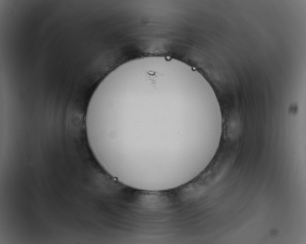 X0000103930521200809261706