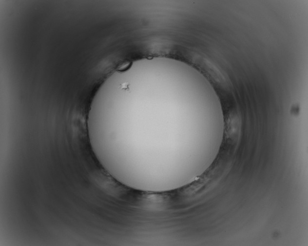 X0000103930522200809261706