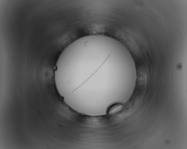 X0000103930523200809261706
