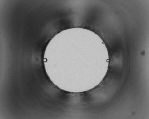 X0000103930524200809261706
