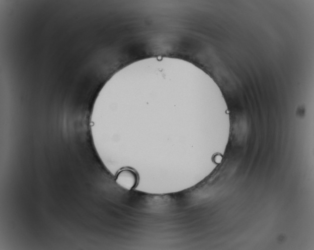 X0000103930525200809261706