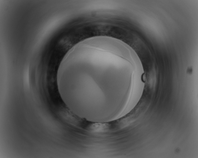 X0000103930526200809261706